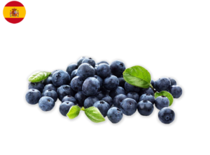 fruits groceries delivery singapore blueberies