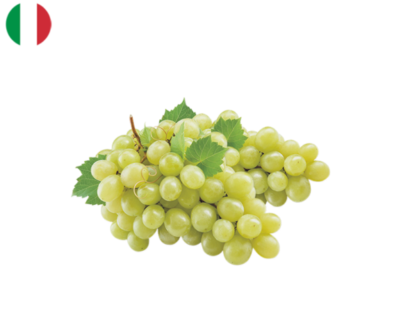 vegetables veggies singapore groceries delivery grape