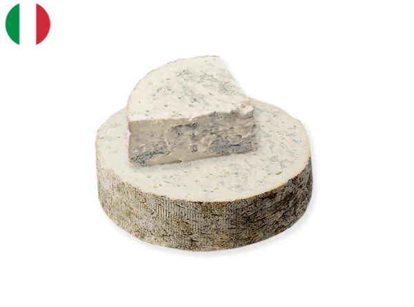 gorgonzola cheese club sg
