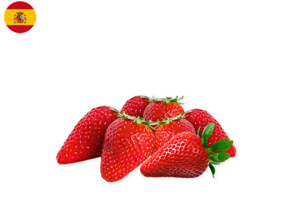 Strawberry, Candonga from Spain (Organic)