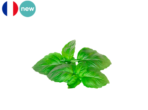 Basil, Fresh from France