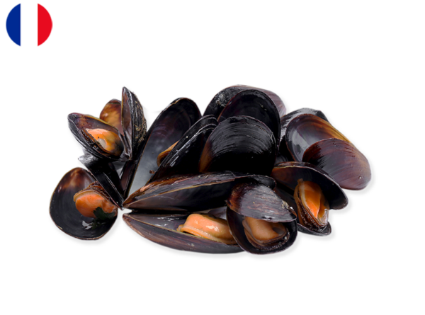 Mussels, Bouchot from Mont Saint-Michel