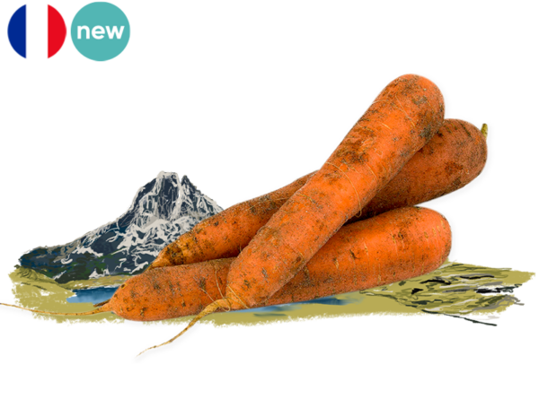 Carrot, Sand from France (Organic)