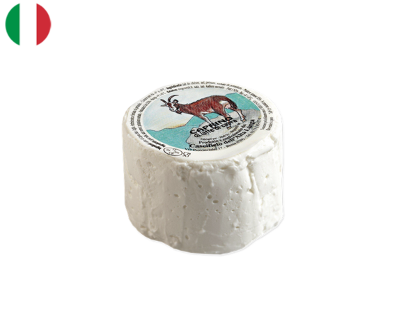 Caprino