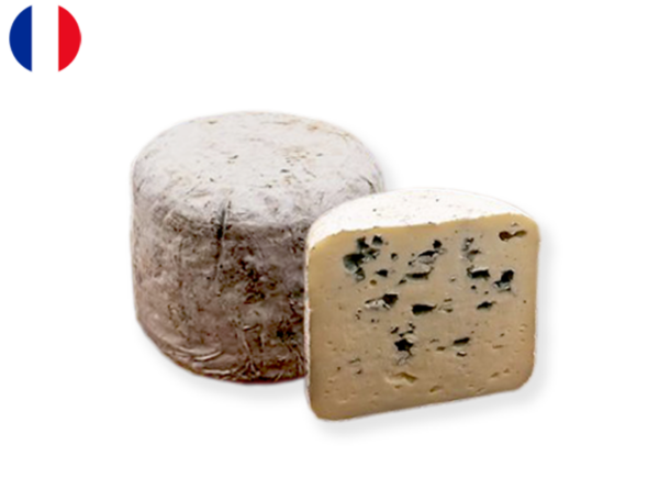 Petit Bleu de Brebis