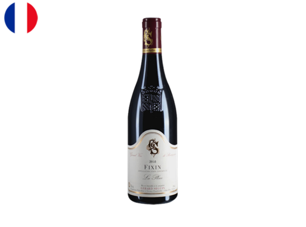 Fixin AOC, La Place, Domaine Gérard Seguin, 2021