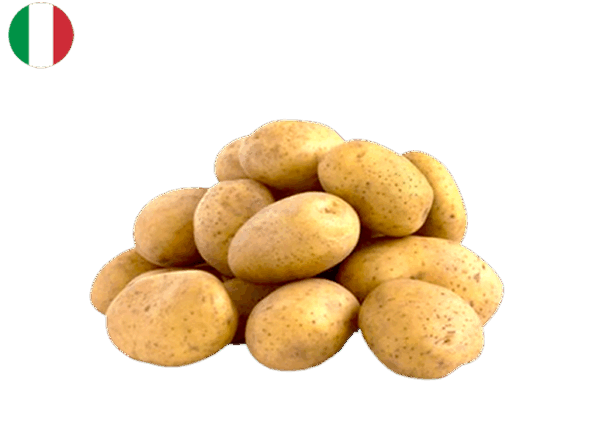 Potato, Spunta New Harvest from Italy (Organic)