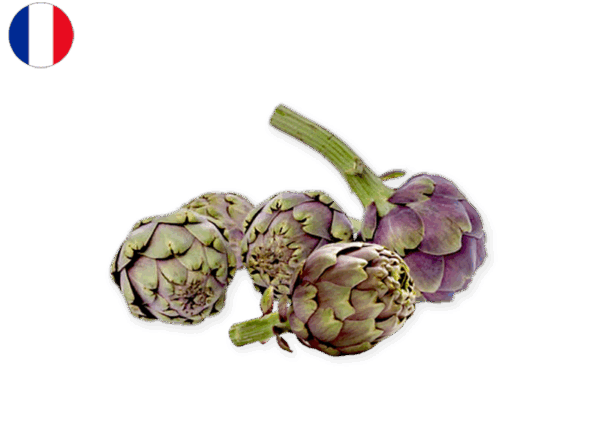 Artichoke, Violet from France (Organic)