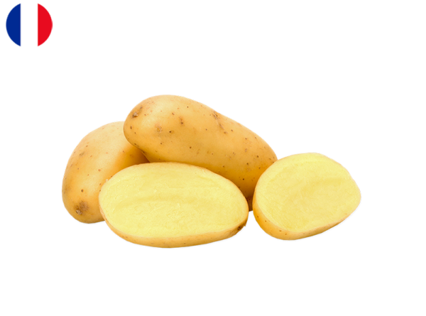 Potato New Harvest from France (Organic)