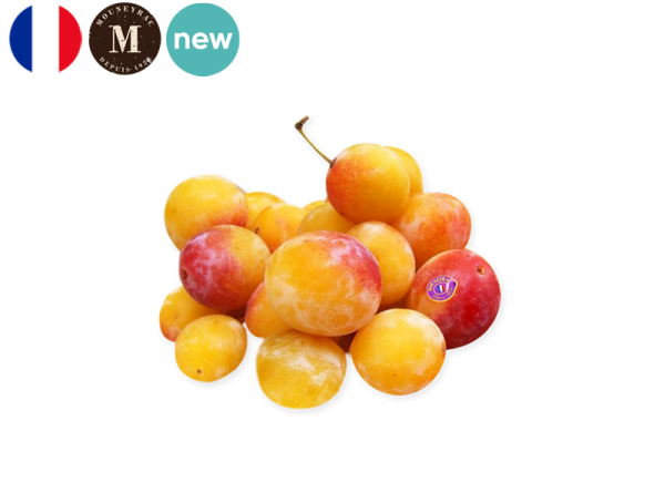 Plum, Mirabelle from France - Mouneyrac