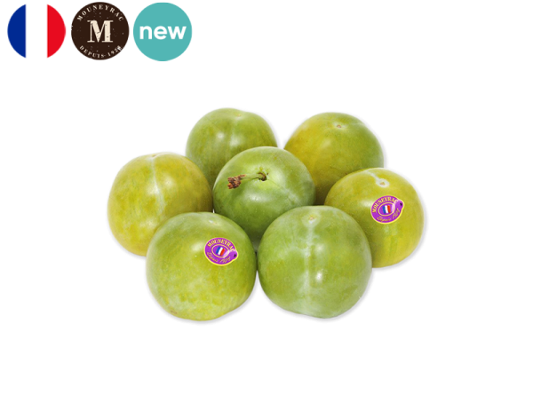 Plum, Reine Claude from France - Mouneyrac