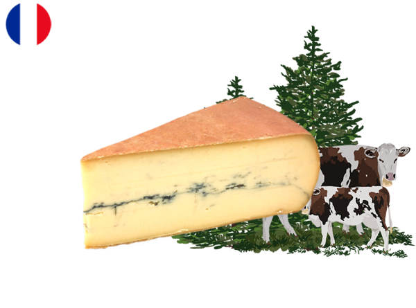 Morbier 100 days