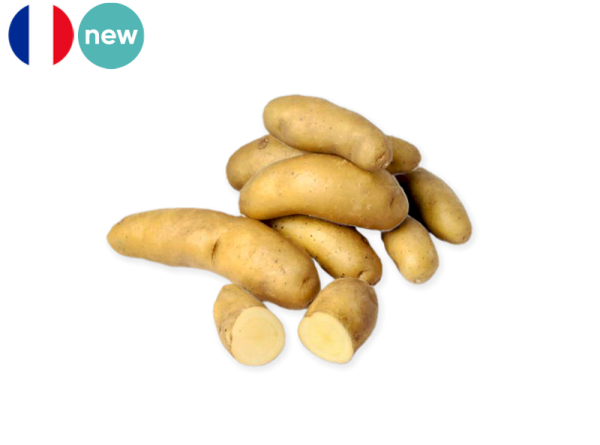 Potato, Ratte du Touquet from France