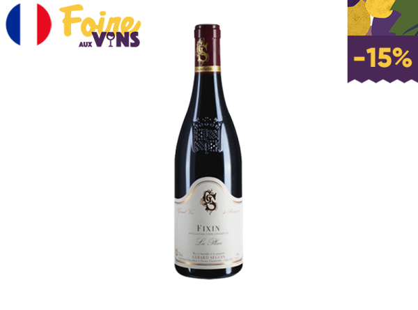 Fixin AOC, La Place, Domaine Gérard Seguin, 2021