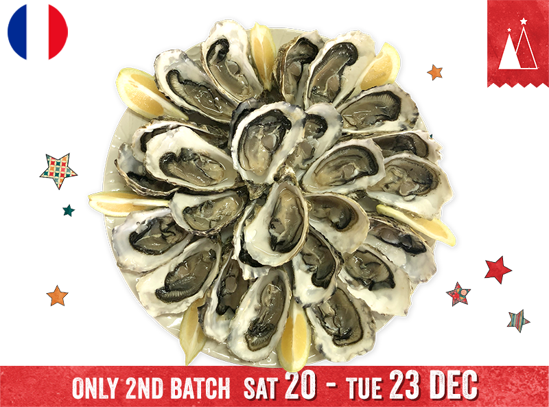 Oysters, Fines de Claire Marennes Olerons N°3 (x24)