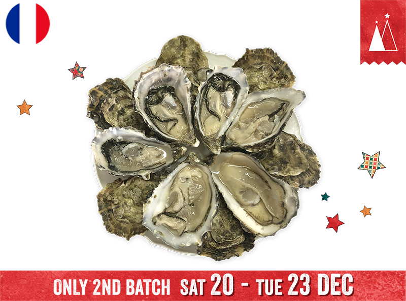 Oysters, Super Spéciales M Jérôme Miet N°3 (x12)