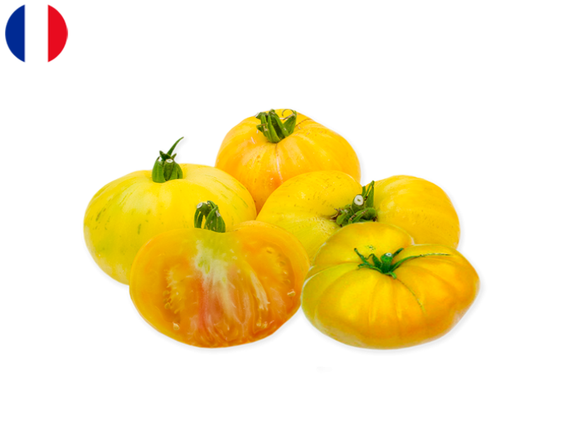 032jxaDkFpuczNoFhzlxGc.png