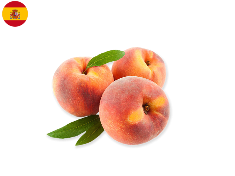 7mHlXL5pEGWtPQrl9dHIg9.png