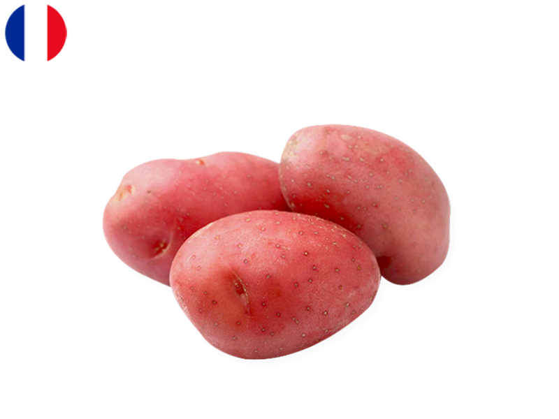 ALOUETTE_POTATO_FPOTA01