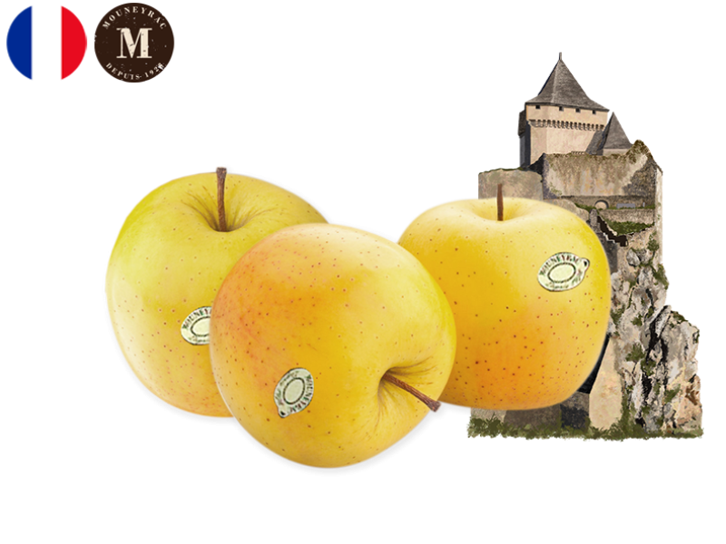 Apple_Golden_France_Mouneyrac_FAPPL41
