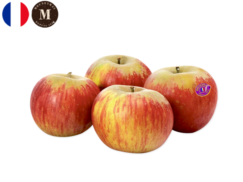 Apple_Reine_des_Reinettes_France_Mouneyrac_FAPPL49