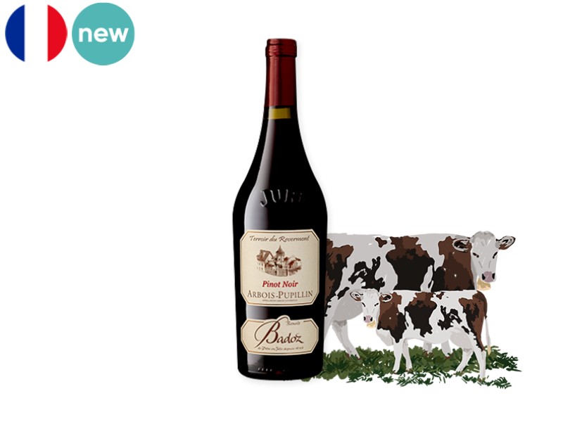 Arbois_Pupillin_AOC_Pinot_Noir_Rouge_Domaine_Badoz_2021_WRED128