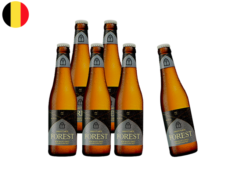 Beer_Abbaye_de_Forest_(6x33cL)_WO box_WBEER13
