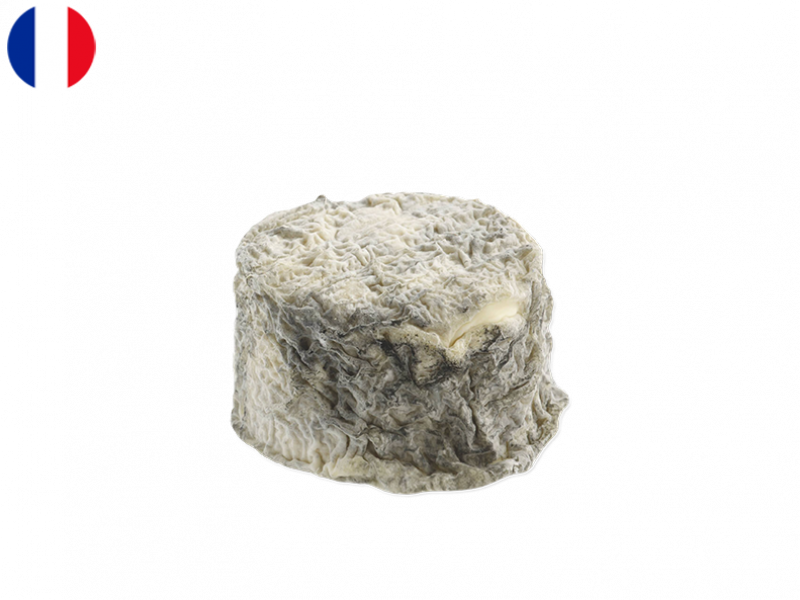 cheeseclub groceries delivery singapore cheese bonde de gatine