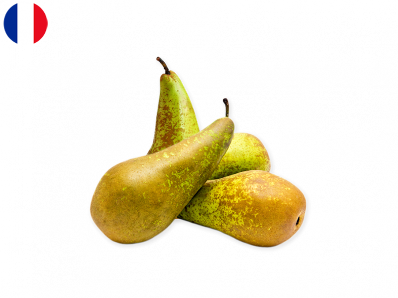 CONFERENCE_PEAR_FPEAR04