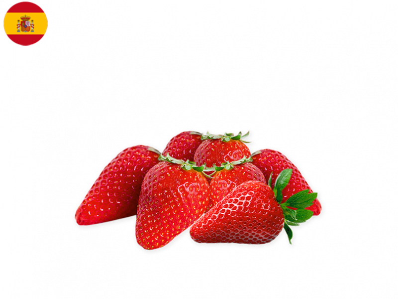 Candonga_Starwberry_FSTRA01