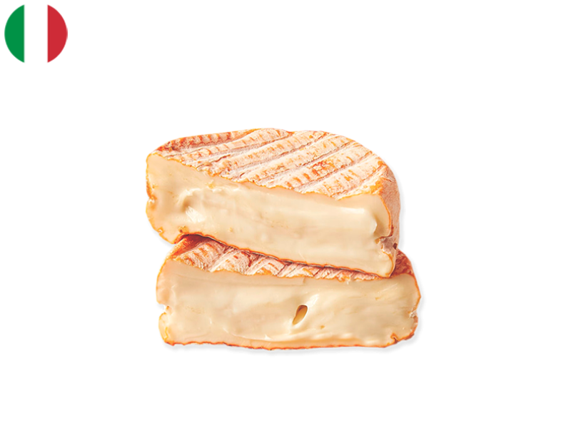 Cossanella_CCOSS01