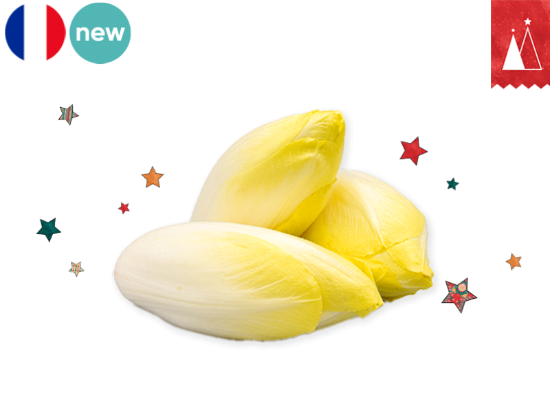 Endive_France_FENDI07