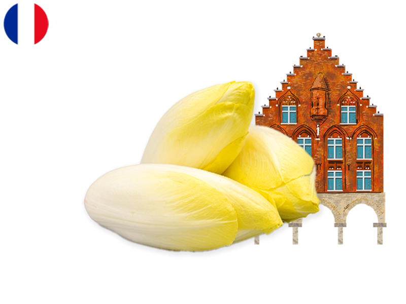 Endive_France_FENDI07