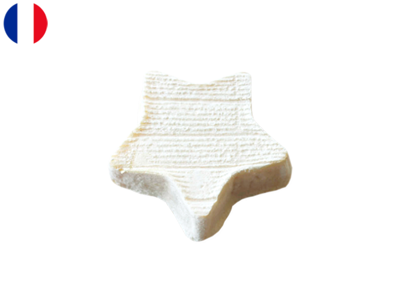 Etoile_de_Gatine_CETOI01 (1)
