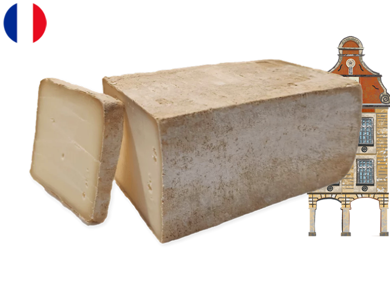 Falaises_du_Blanc_Nez_CFALA01