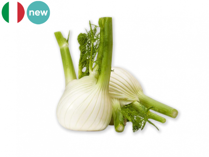 Fennel_from_Italy_FFENN02