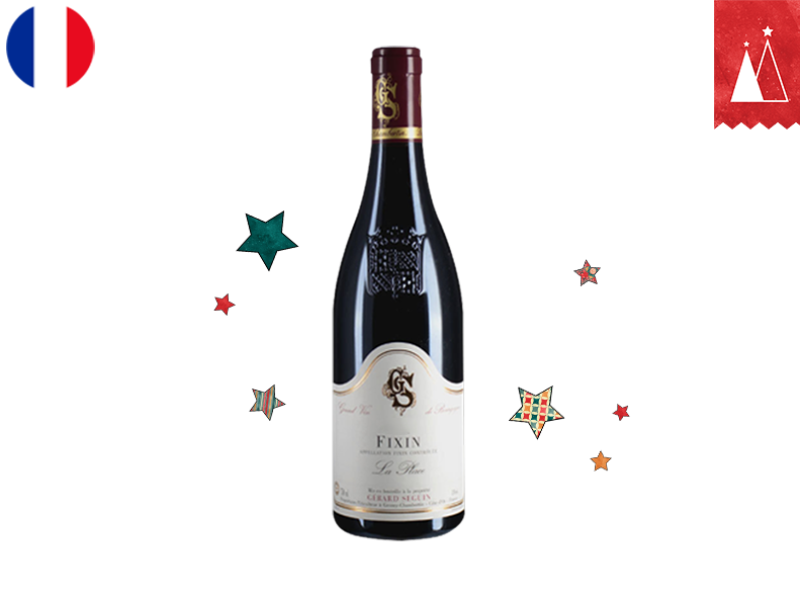 Fixin_La_Place_Domaine_Gérard_Seguin_2021_WREDX30