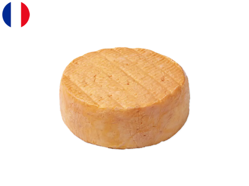 Fruité_du_Cap_Gris_Nez_CGRIS01 (2)