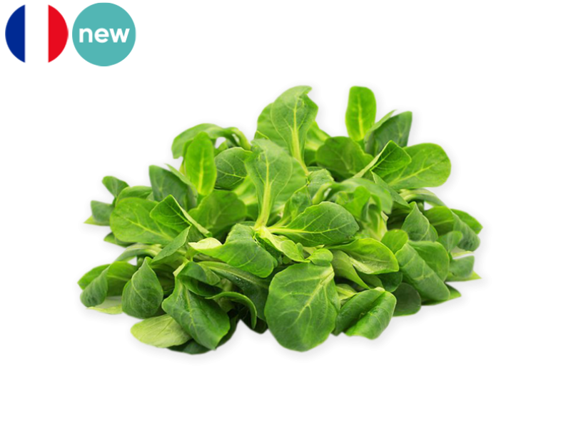 Lamb's_Lettuce_France_FLAMB04
