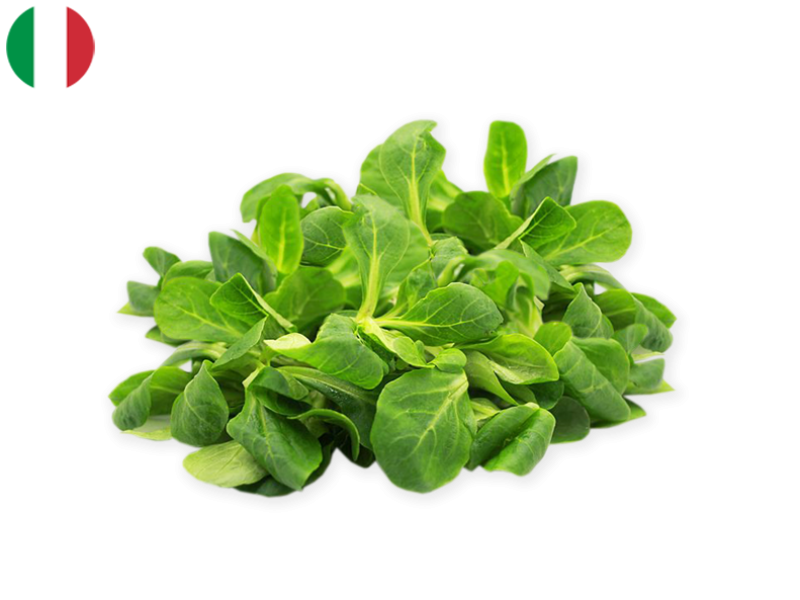 Lamb's_Lettuce_from_Italy_Organic_FLAMB02