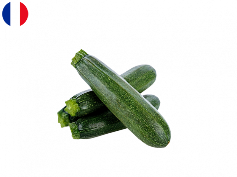 Long_Zucchini_from_Provence_FZUCC02