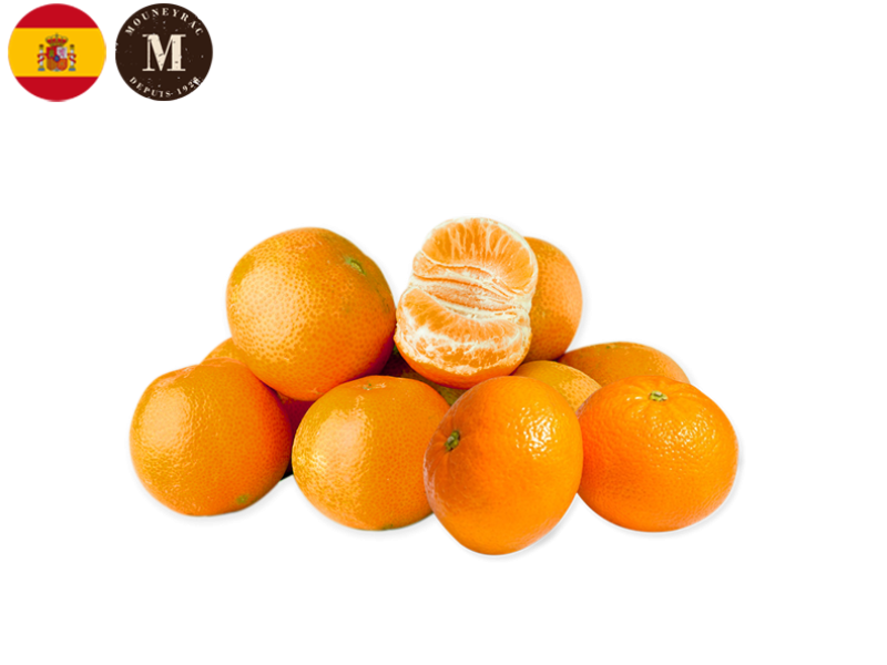 Mandarin_Orri_Spain_Mouneyrac_FMAND13