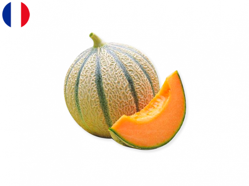 Melon_Charentais_from_Cavaillon_France_FMELO06 (2)