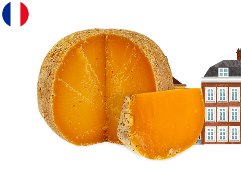 Mimolette_Aged_18 Months_CMIMO05