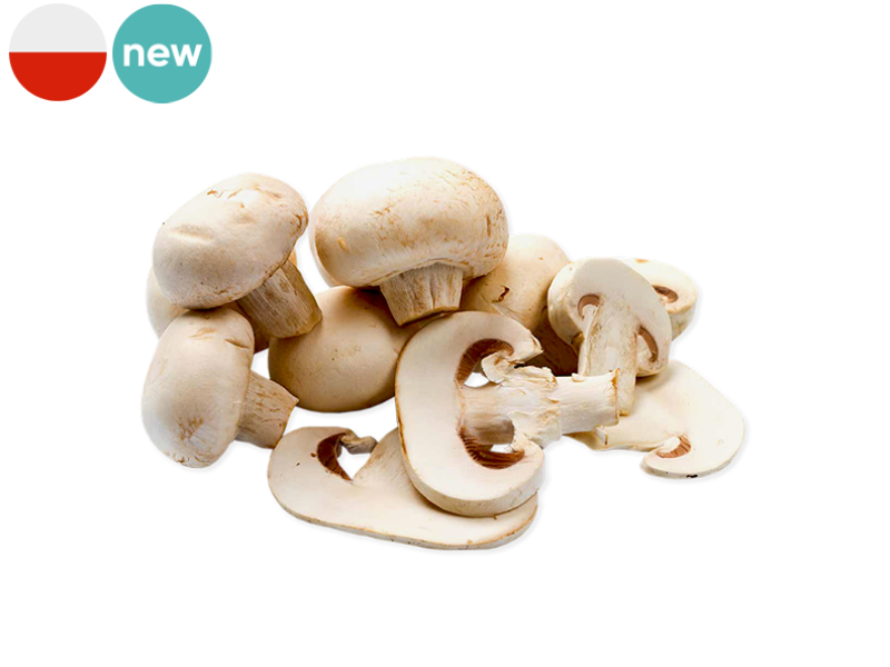 Mushroom_White_Parisian_Poland_FMUSH20