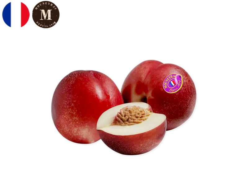 Nectarine_White_Mouneyrac_FNECT08
