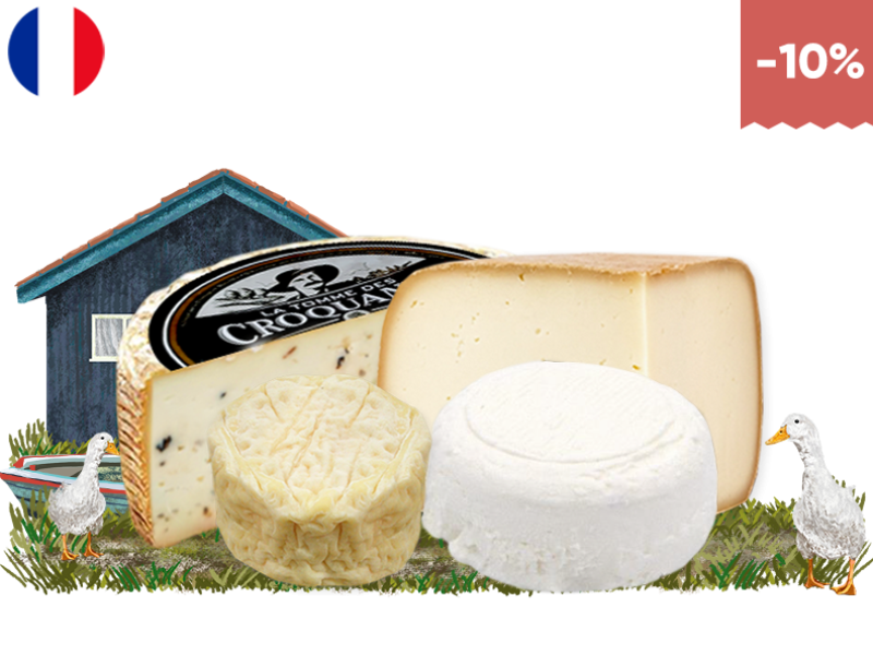 Nouvelle_Aquitaine_Cheese_Platter_PPLAT23