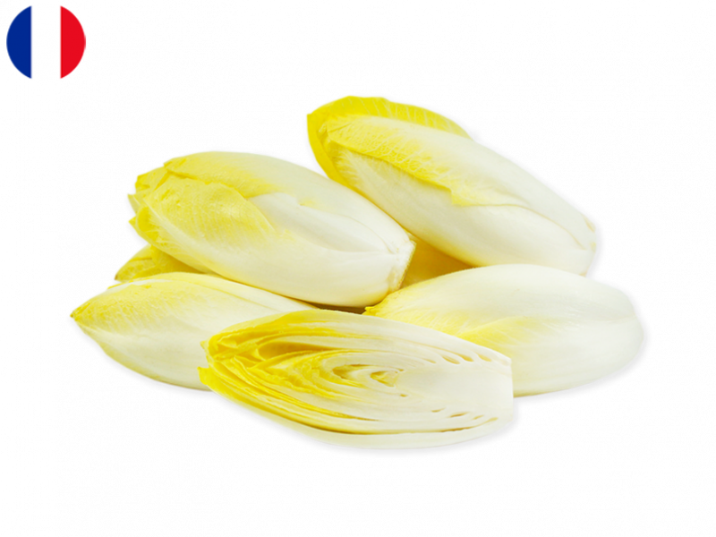 Organic_Endive_France _FENDI05