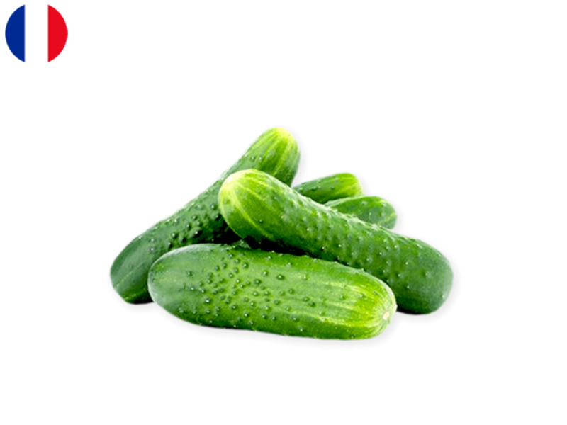 Organioc_Noa_Short_Cucumber_FRANCE_FCUCU01