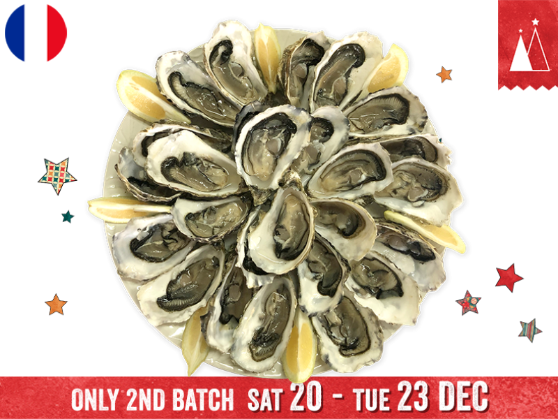 Oysters_Fines_de_Claire_Marennes_Olerons_N°3_x24_2ND BATCH_SG_SOYST01